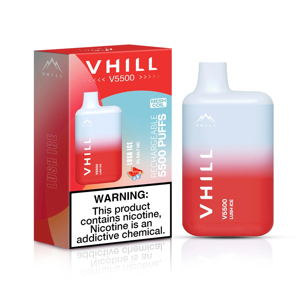 Original Free Shipping Vhill V5500puffs 15ml Disposable E Cigarettes Vape Pen Mesh Coil Type-C Chargeable Airflow Control System Ecigs Vapor Kit